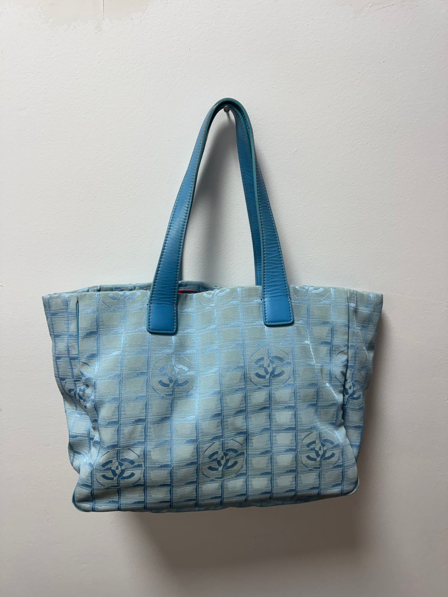 Baby Blue Chanel Nylon Bag (#1)
